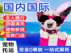 大长山机场邮寄国际宠物托运 【国